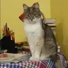 Отзыв от Алевтина Новикова